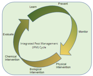 disease prevention ipm cycle